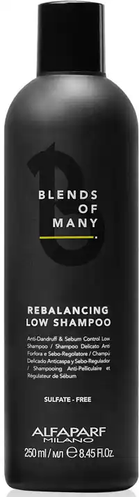 Rebalancing Sulfate-Free Low Shampoo