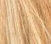 Hair Thickening Powder