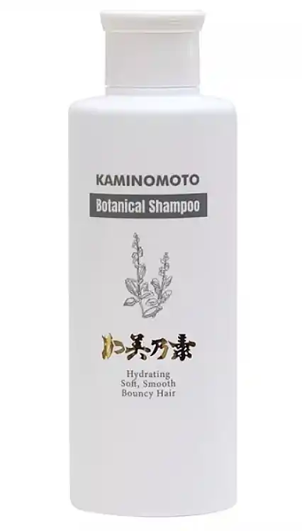 Shampoo - Hair