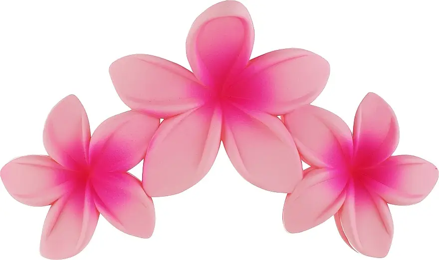 Hair Clip 24016, Pink - Accessories