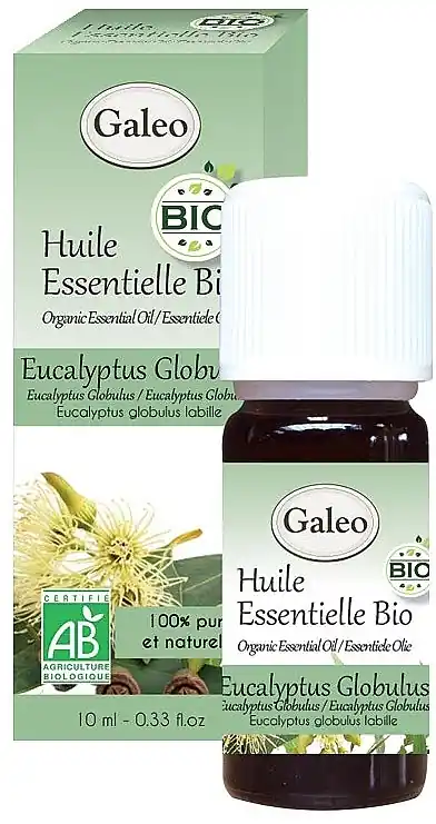 Organic Eucalyptus Globulus Essential Oil - Bath and Body
