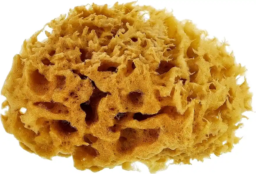 Body Sponge, 10 cm - Accessories