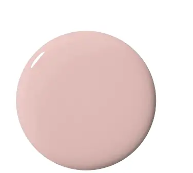 Nail Polish - Nails