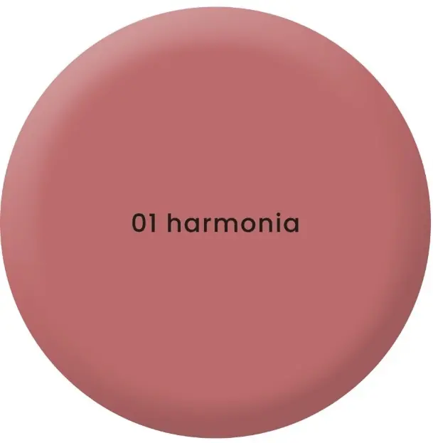 Stars from The Stars x Wedel Cream Blusher - Makeup