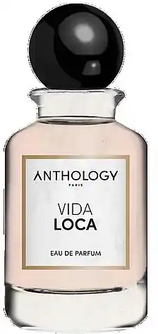 Anthology Vida Loca - Perfume