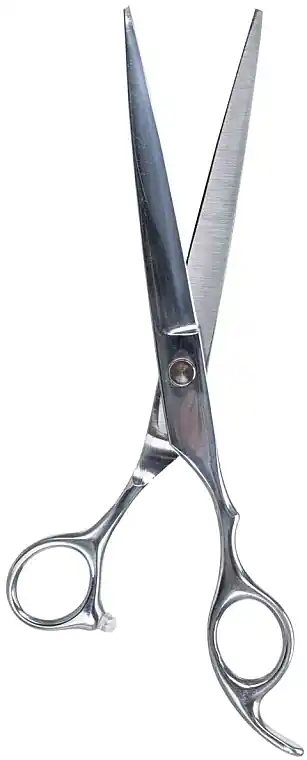 Stainless Steel Dog Clippers, 20cm - Accessories
