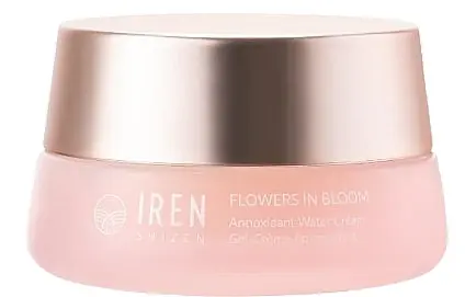 Antioxidant Face Cream - Skin Care Products