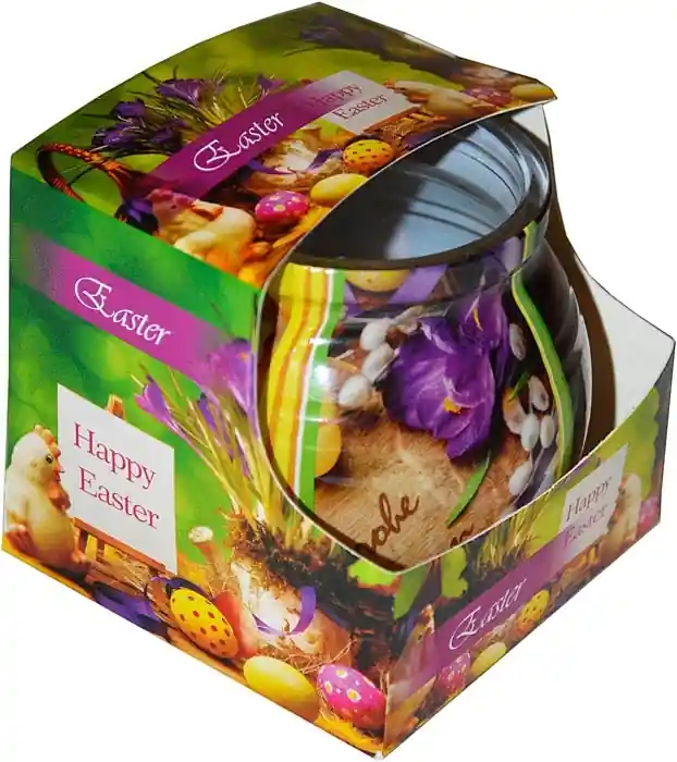 Candle in Glass Cover - Bath and Body