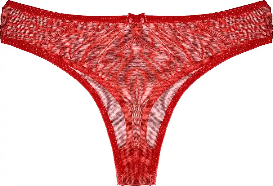 Transparent Mesh Thong Panties, red - Clothes