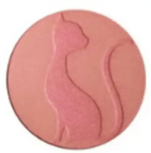 Blush & Bronzer - Makeup