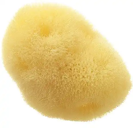Natural Sea Sponge 'Fina Silk Sea Sponge', 7.6 cm - Accessories