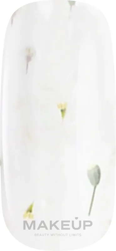 Gel Polish with Dried Lanthanum Flowers - Nails