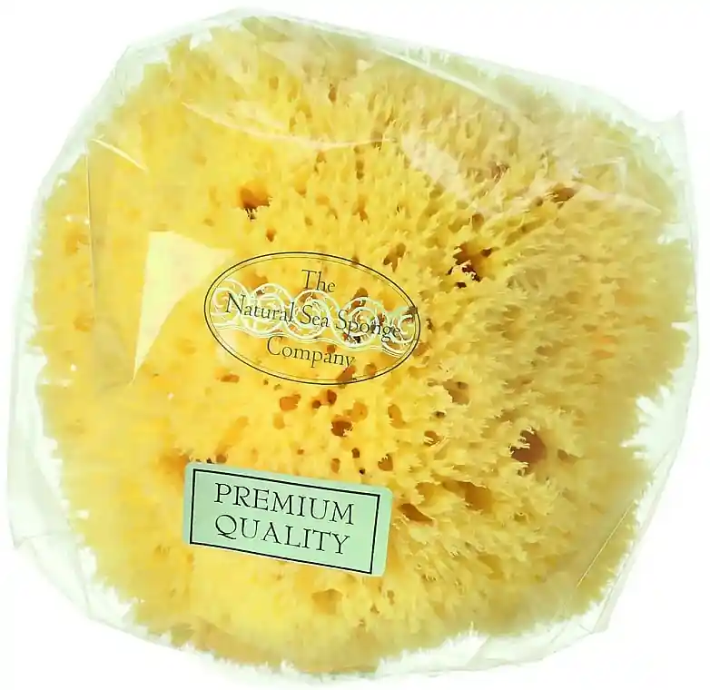 Natural Sea Sponge, 12.7 cm - Accessories