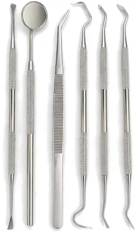 Oral Hygiene Precision Tool Set, 6 pcs - Accessories