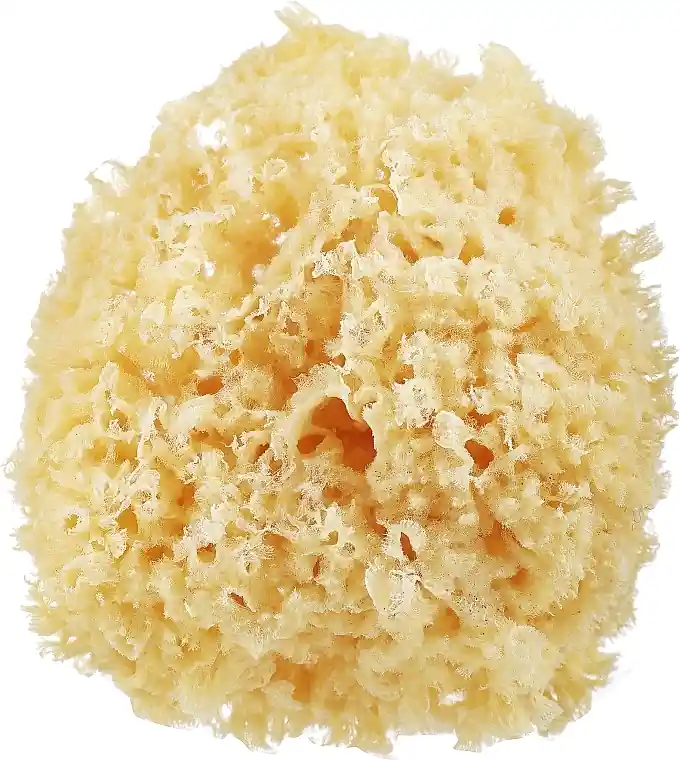 Makeup Sponge, yellow - Accessories