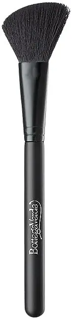 Blush Brush - Accessories