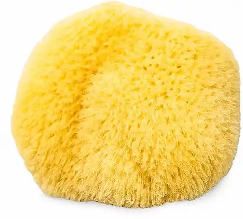 Natural Sponge, size 3-31"