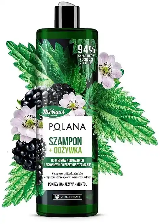 2in1 Shampoo & Conditioner "Blackberry, Nettle & Menthol" - Hair