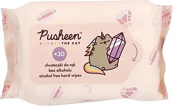 Wet Baby Wipes - Accessories