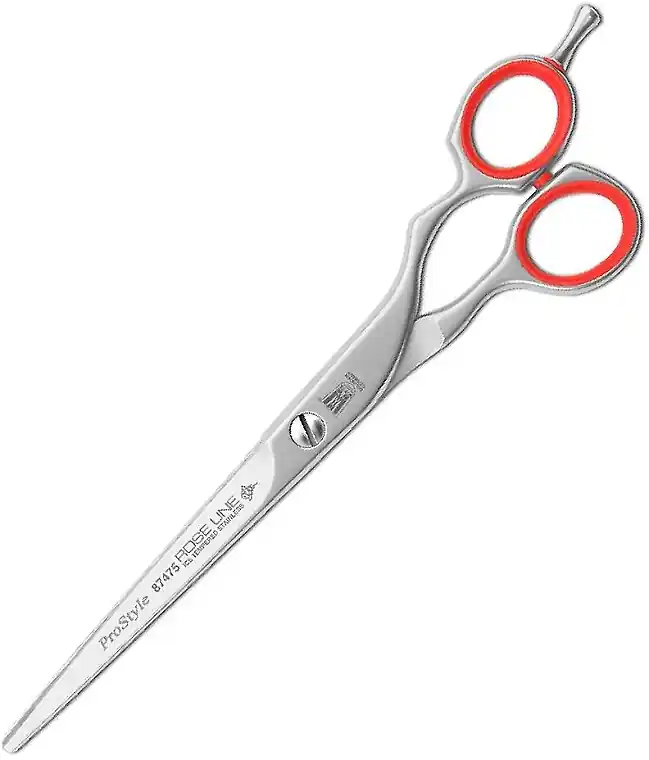 Professional Hairdressing Scissors 87475, 5.5 - Accessories