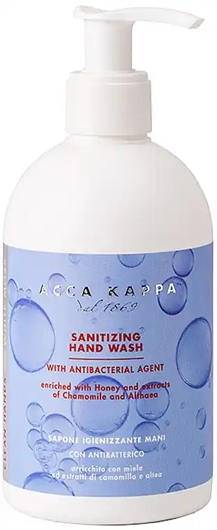 Sanitising Hand Wash - Bath and Body