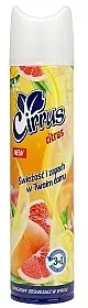 Air Freshener 'Citrus' - Bath and Body