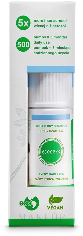 Dry Shampoo for All Hair Types