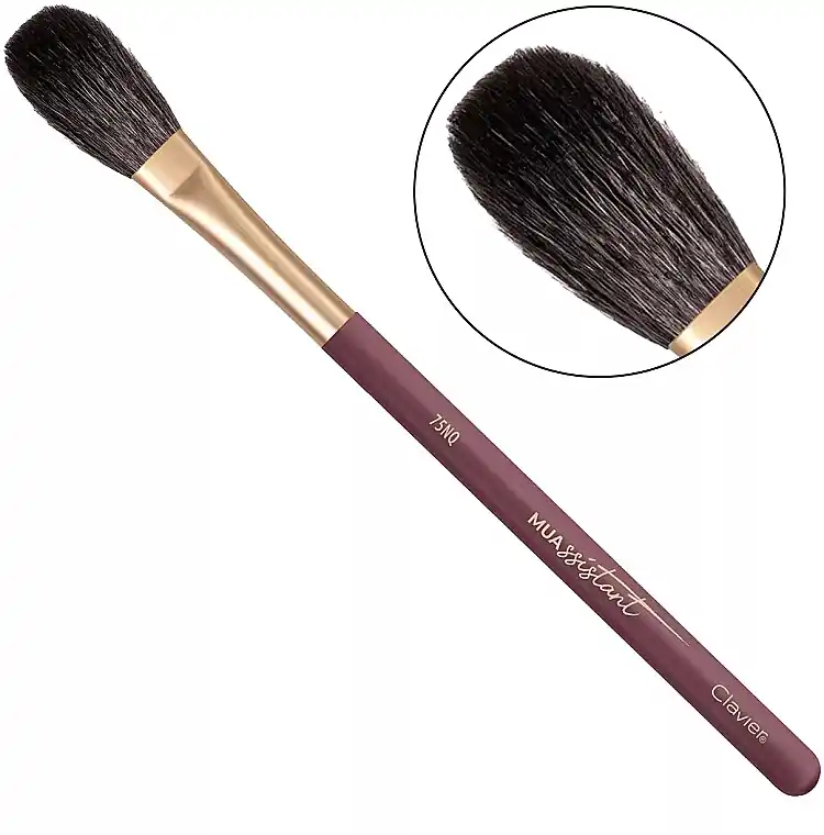 Blush & Highlighter Brush - Accessories
