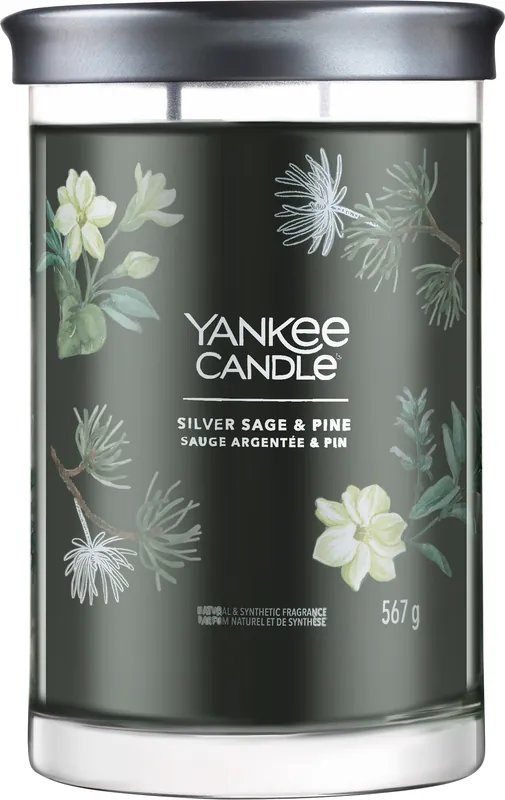 Scented Candle in Glass 'Silver Sage & Pine', 2 wicks - Bath and Body