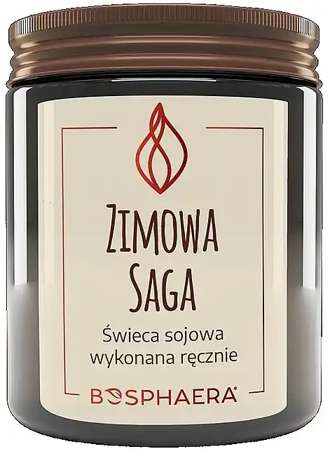 Scented Soy Candle 'Winter Saga' - Bath and Body