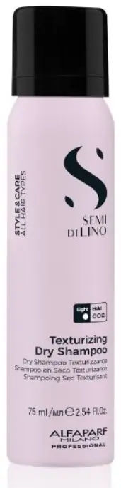 Texturizing Dry Shampoo - Hair