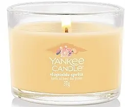 Scented Mini Candle in Glass - Bath and Body
