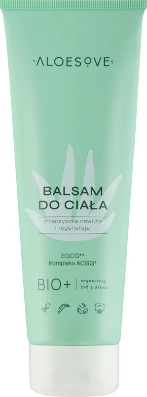 Body Lotion - Bath and Body