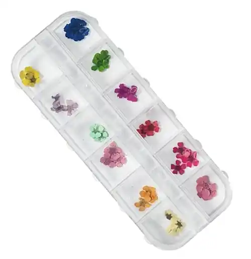 Dried Flowers for Nails, 12 Colors, Mini Version