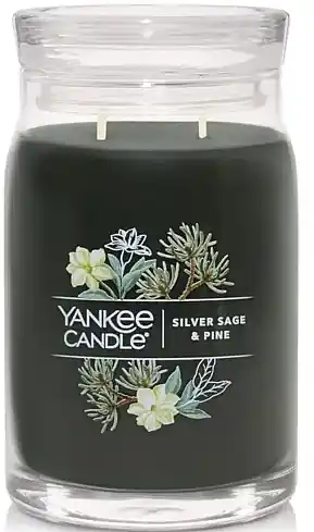 Scented Candle in Jar 'Silver Sage & Pine', 2 wicks - Bath and Body