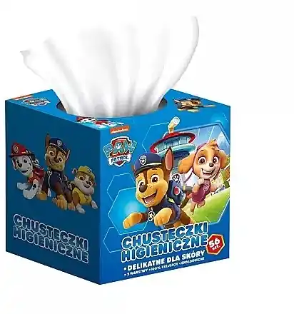 Paw Patrol Wet Wipes - Accessories