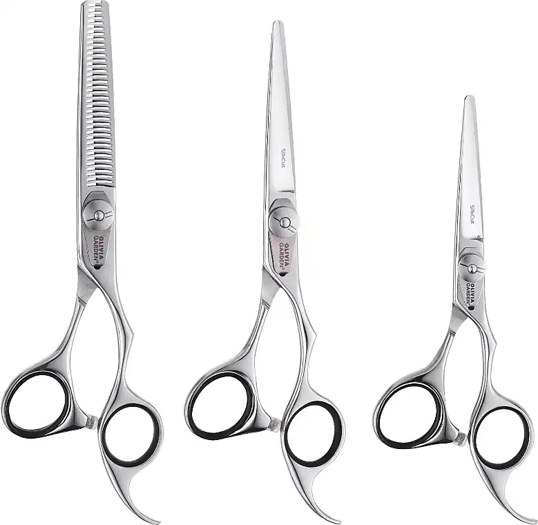 Scissors Set in a Black Case - Accessories