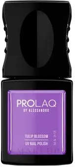 Gel Polish - Nails