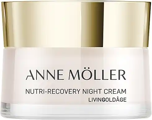 Night Face Cream - Skin Care Products