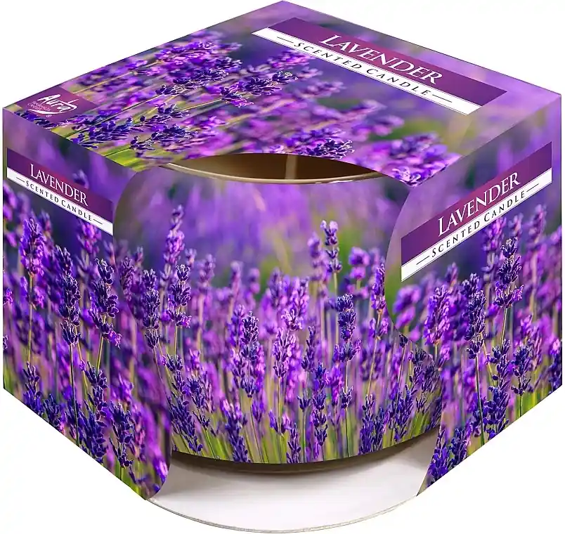 Lavender Scented Candle in Glass - Bath and Body
