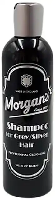 Shampoo for Grey Hair