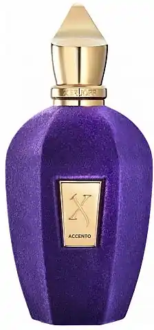 Xerjoff Accento - Perfume