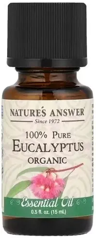 Eucalyptus Organic Essential Oil - Bath and Body