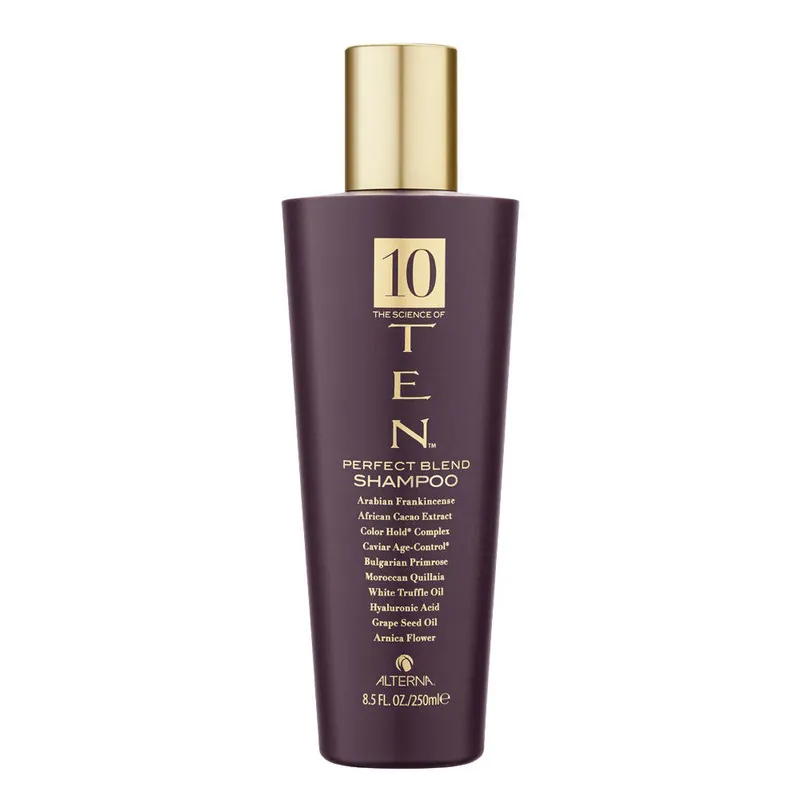 ALTERNA HAIRCARE TEN PERFECT BLEND SHAMPOO