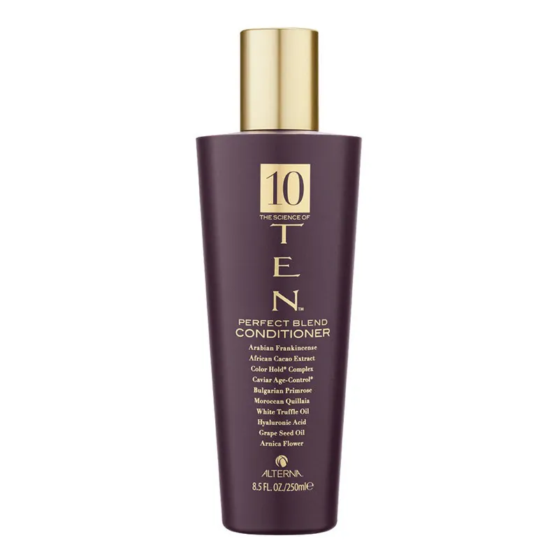 ALTERNA HAIRCARE TEN PERFECT BLEND CONDITIONER