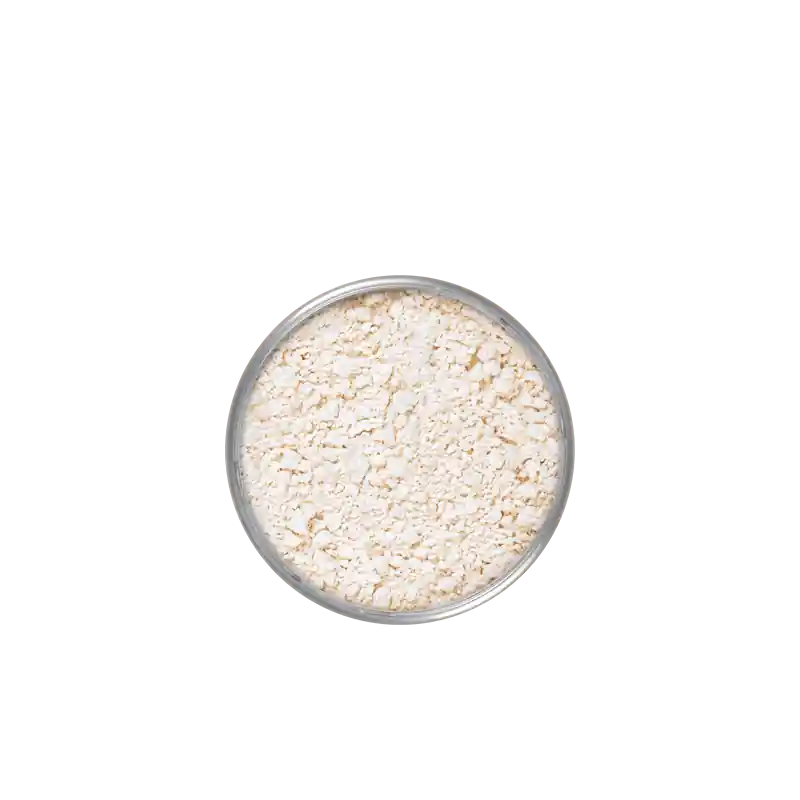 KRYOLAN TRANSLUCENT POWDER 20 G