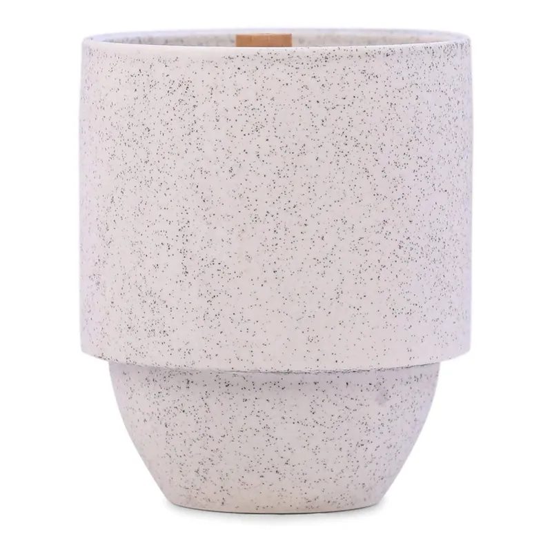 PADDYWAX PARKS CANDLE - GLACIER WHITE PINE HEMLOCK