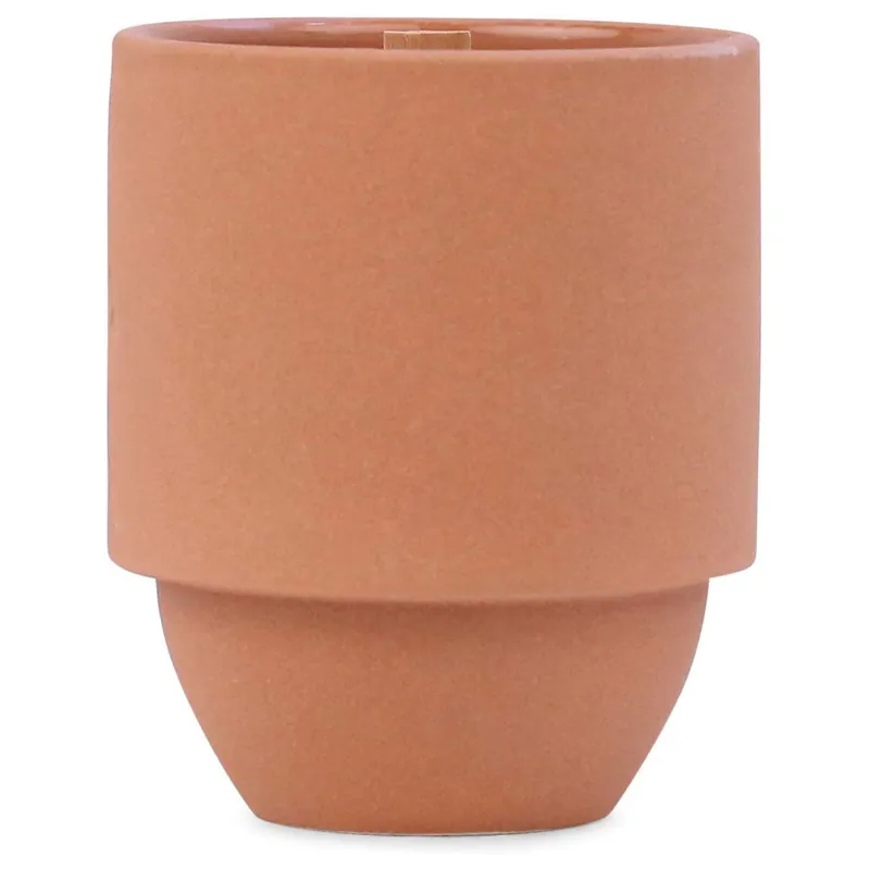 PADDYWAX PARKS CANDLE - GRAND CANYON CACTUS FLOWER FERN