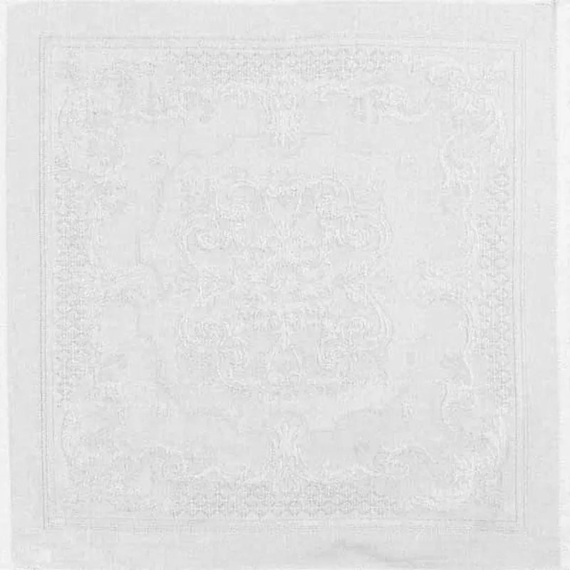 GARNIER-THIEBAUT FRANCE ELEA BEAUREGARD WHITE NAPKIN