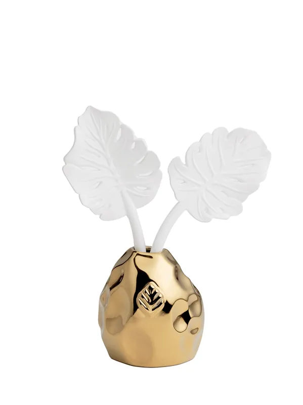 Diffuser Folha Costela de Adao Gold With Figo Negro - Tania Bulhoes